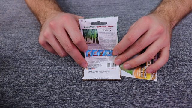 Как выбрать семена лука-порея Как выбрать семена лука-порея