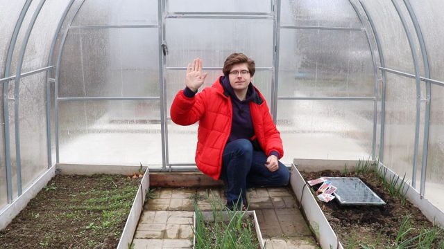 Посев свёклы на рассаду — в чем преимущества и как правильно посадить? Посев свёклы на рассаду — в чем преимущества и как правильно посадить?