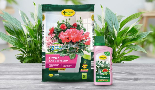 Грунт от ФАСКО для цветущих разработан специально для выращивания комнатных растений, с учетом их потребности в питательных веществах 