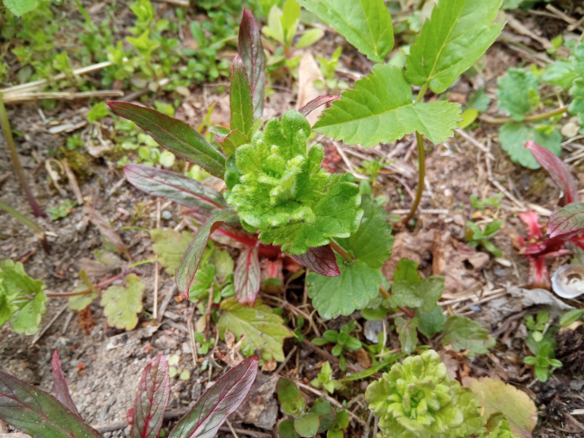 img_20220515_105348-1