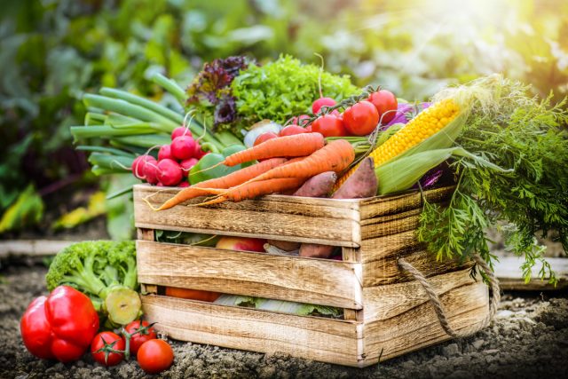Как избежать горечи у овощей со своего огорода?