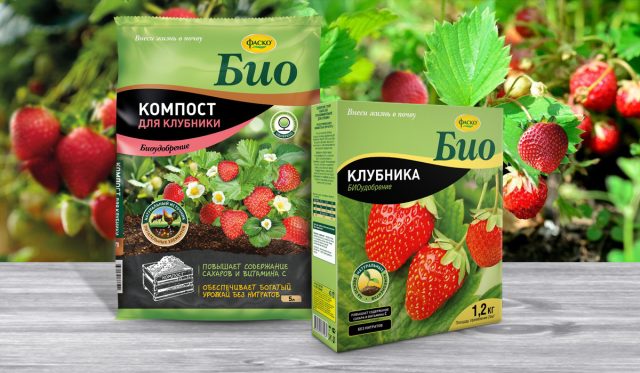 Ранней весной, перед цветением и во время плодоношения можно пользоваться специальным удобрением для клубники ФАСКО серии Био Ранней весной, перед цветением и во время плодоношения можно пользоваться специальным удобрением для клубники ФАСКО серии Био