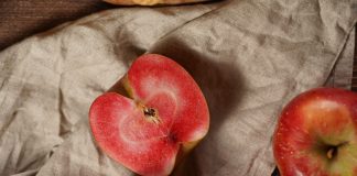 Красномякотные яблони и новинки питомника растений «Поиск»?