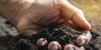 Определяем тип почвы и, если надо исправляем его