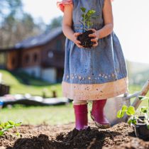 Посадите немного клубники с детьми для того, чтобы получить сладкий урожай в летние месяцы