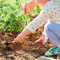 Устройте дружеские соревнования с детьми по прополке — посмотрите, кто соберет больше всего сорняков