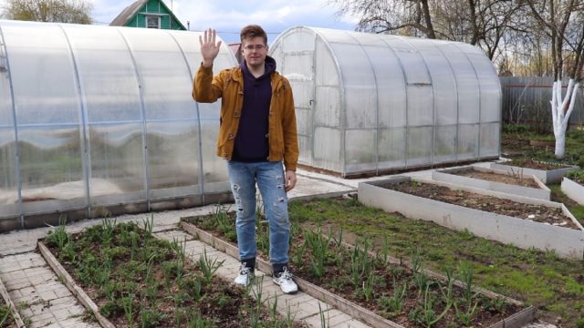 Уход за клубникой весной — как получить здоровые кусты летом? Уход за клубникой весной — как получить здоровые кусты летом?