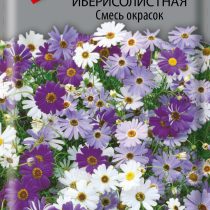 Брахикома иберисолистная Смесь окрасок Брахикома иберисолистная Смесь окрасок