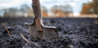 Готовим почву к урожаю. Советы профессионалов