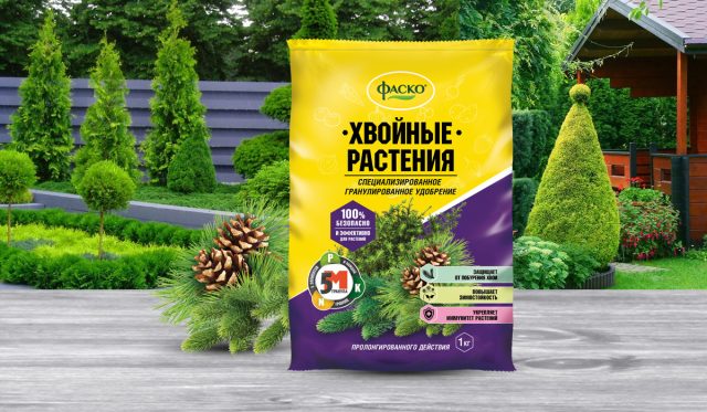 При подготовке почвы под посадку используют различные почвоулучшители и вносят удобрения универсальные или предназначенные для определённой группы видов, например, ФАСКО 5М-гранула для хвойных растений При подготовке почвы под посадку используют различные почвоулучшители и вносят удобрения универсальные или предназначенные для определённой группы видов, например, ФАСКО 5М-гранула для хвойных растений