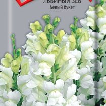 Львиный зев Белый букет Львиный зев Белый букет