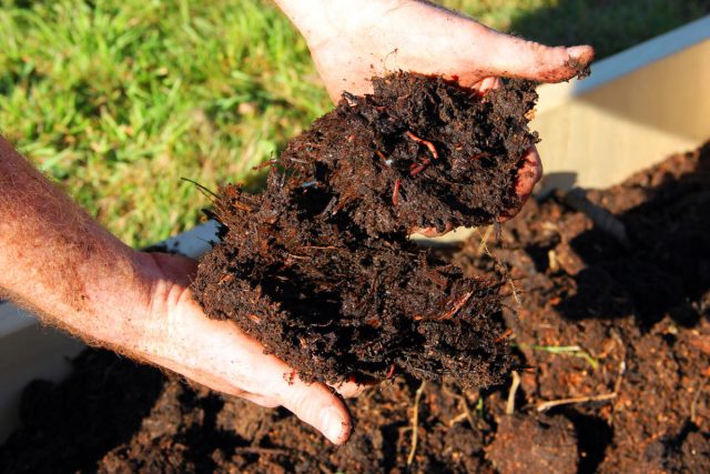 Использование (био-) органических почвенных смесей и грунта, мульчи и удобрений приводит к более здоровому, устойчивому к вредителям, долговечному и простому в уходе саду