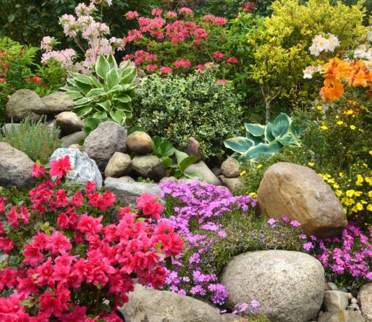 Разбиваем цветник, которым вы сможете гордиться - Фаско — все секреты богатого урожая Разбиваем цветник, которым вы сможете гордиться