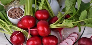 Как продлить витаминное лето? Сеем редьку и редис