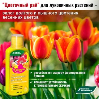 Удобрение «Цветочный рай» для луковичных Удобрение «Цветочный рай» для луковичных