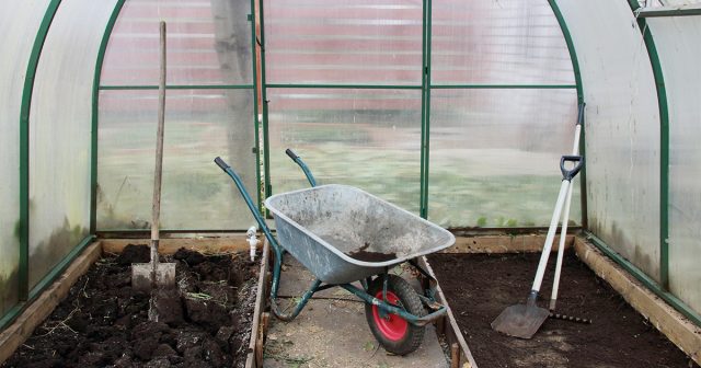 Теплица представляет собой идеальное место для развития практически любых, в том числе, болезнетворных микроорганизмов. Слабый воздухообмен, высокая влажность и повышенная температура – это почти идеальные условия для роста микрофлоры