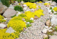 Украшаем сад гравием — 10 важных моментов