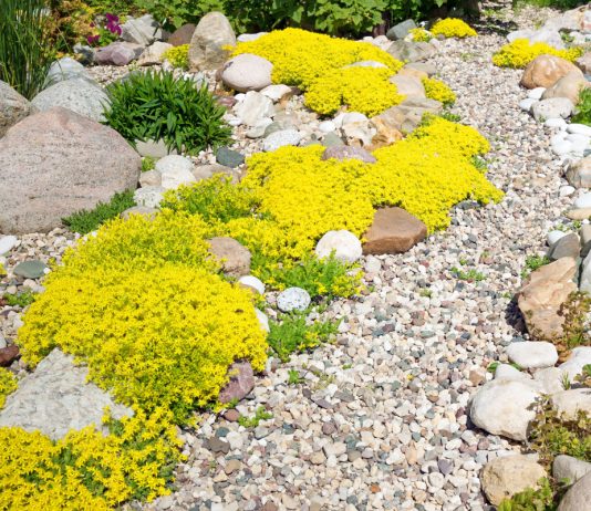 Украшаем сад гравием — 10 важных моментов