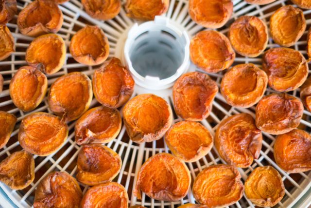 Высушивание абрикосов в электросушилке займет в два раза больше времени, зато вам не придется переживать о том, что она включена, когда вы уходите из дома, и работает ночью