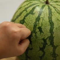 Если звук при ударе по арбузу низкий, глухой и глубокий, как барабан или стук в дверь, значит, все готово. Высокий звонкий звук говорит о том, что арбуз еще не дозрел Если звук при ударе по арбузу низкий, глухой и глубокий, как барабан или стук в дверь, значит, все готово. Высокий звонкий звук говорит о том, что арбуз еще не дозрел