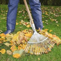 Здоровую листву также, как и ботву, можно отправить в компостную кучу или набить ей большие полиэтиленовые мешки, чтобы сделать перегной