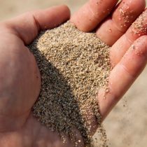 Песок – без него никуда. Существенная составляющая почвы для кактусов и суккулентов, да и для всех прочих совершенно нелишний