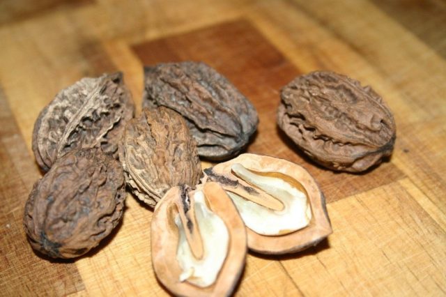 Маньчжурский орех вкуснее грецкого, ароматнее, не имеет горчинки и обгоняет грецкий по составу полезных веществ