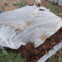 Затем накидываем на основу агроволокно Затем накидываем на основу агроволокно