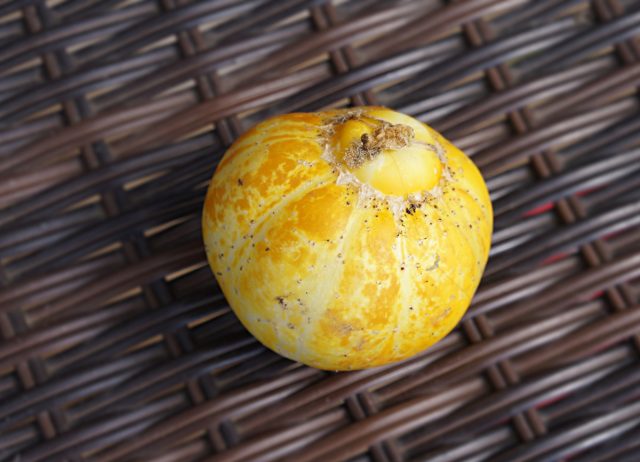 Огурец «Лимон» (Lemon) Огурец «Лимон» (Lemon)