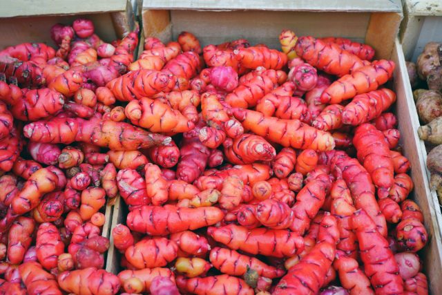 Ока, или оса перуанская (Oxalis tuberosa), представляет собой небольшой растение со вздутыми клубнями из семейства Кисличных Ока, или оса перуанская (Oxalis tuberosa)