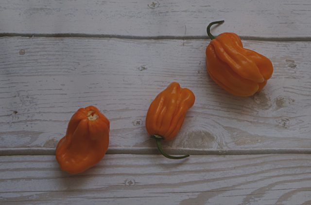 Перец китайский «Тринидад парфюм» (Capsicum Chinense 'Trinidad Perfume') Перец китайский «Тринидад парфюм» (Capsicum Chinense 'Trinidad Perfume')