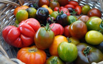 Лучшие томаты от компании «Ваше хозяйство»