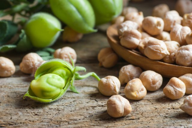 Нут — однолетняя бобовая культура, которую сажают весной и собирают в конце лета после долгого вегетационного периода. То, что мы называем нутом, ботанически не является горохом, это семена, которые растут в маленьких семенных коробочках, а не в стручках Нут — однолетняя бобовая культура, которую сажают весной и собирают в конце лета после долгого вегетационного периода. То, что мы называем нутом, ботанически не является горохом, это семена, которые растут в маленьких семенных коробочках, а не в стручках