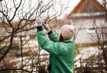 Шпаргалка на февраль — важные садово-огородные дела
