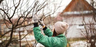 Шпаргалка на февраль — важные садово-огородные дела