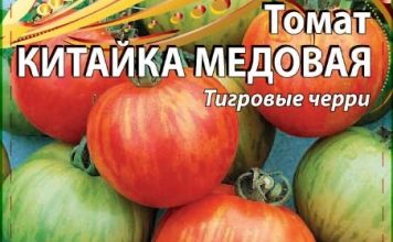 Томат «Китайка медовая»