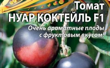 Томат «Нуар Коктейль F1»