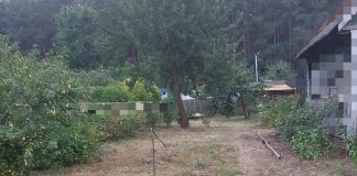 Мой опыт благоустройства дачного участка