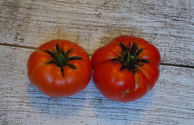 Томат «Большая паста Кэрол Чико» (Tomato Carol Chyko’s Big Paste) Томат «Большая паста Кэрол Чико» (Tomato Carol Chyko’s Big Paste)