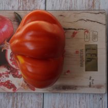 Вес выращенного томат «Кунео гигантская Вес выращенного томат «Кунео гигантская