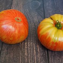Томат «Джаз» (Tomato Jazz) Томат «Джаз» (Tomato Jazz)