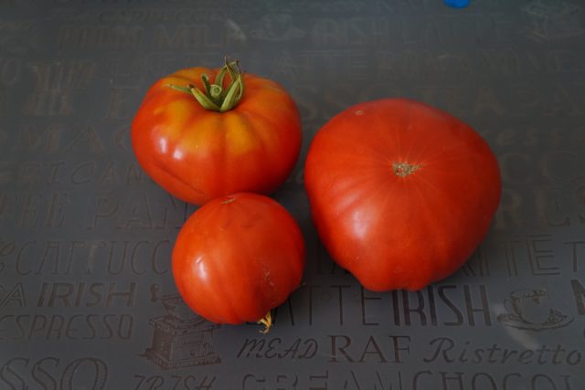 Томат «Ранневесенний Король» (Tomato Spring King Early) Томат «Ранневесенний Король» (Tomato Spring King Early)