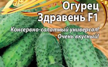 Огурец «Здравень F1»