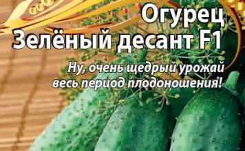 Огурец «Зелёный десант F1»
