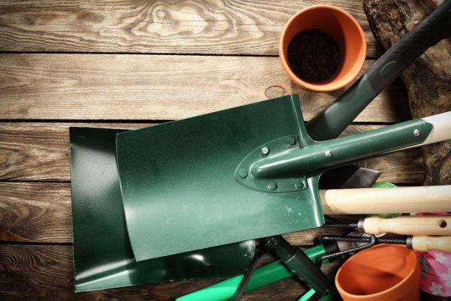 Шпаргалка на март — важные садово-огородные дела