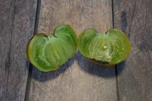 У сортовых зеленых помидоров вкус зависит от сорта, зачастую зеленые помидоры имеют необычные фруктовые оттенки и сладкий вкус, некоторые сорта кисловатые или терпкие. У сортовых зеленых помидоров вкус зависит от сорта, зачастую зеленые помидоры имеют необычные фруктовые оттенки и сладкий вкус, некоторые сорта кисловатые или терпкие.