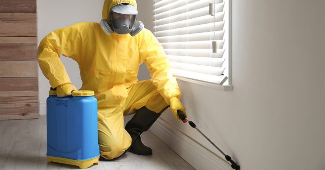 Профессиональная обработка – это, пожалуй, самый эффективный вариант борьбы с клопами