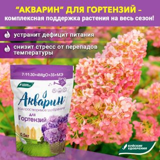 «Акварин для гортензий» «Акварин для гортензий»