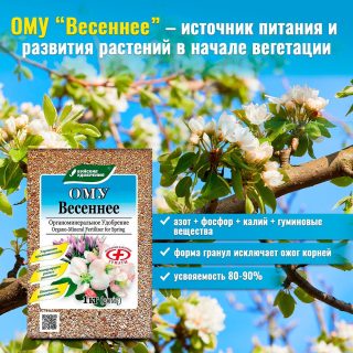 Чтобы помочь молодым саженцам деревьев и кустарников прижиться, при подготовке посадочных ям вносим в них 80-100 г. ОМУ «Для плодово-ягодных культур» или ОМУ «Весеннее» Чтобы помочь молодым саженцам деревьев и кустарников прижиться, при подготовке посадочных ям вносим в них 80-100 г. ОМУ «Для плодово-ягодных культур» или ОМУ «Весеннее»