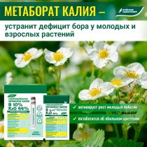Очень полезно провести во время бутонизации и цветения полив или опрыскивание растений метаборатом калия Очень полезно провести во время бутонизации и цветения полив или опрыскивание растений метаборатом калия